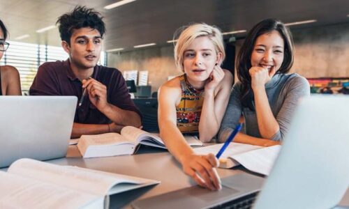 Fringilla a leo quis consequat